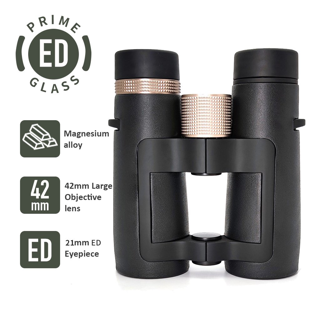 YBRED02 binocular