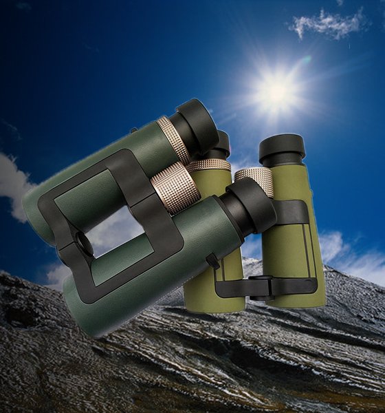 Roof binoculars