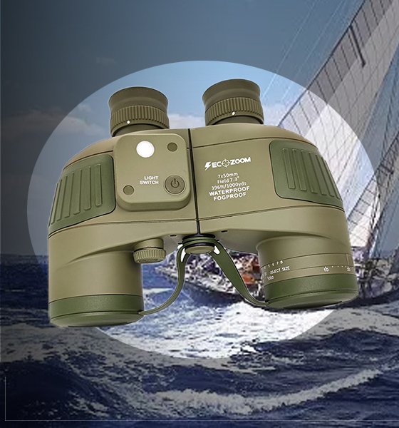 Porro binoculars