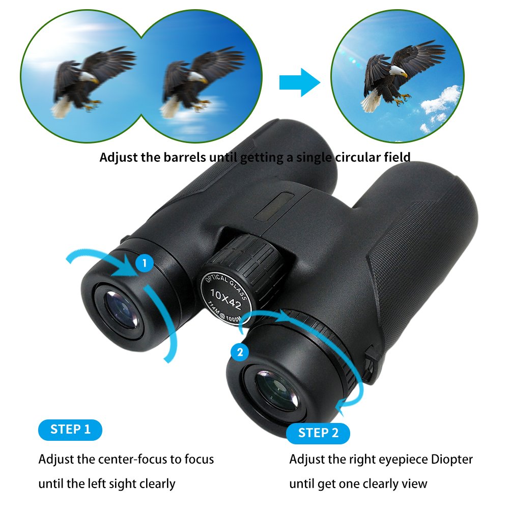 YBR24 10X42 binoculars