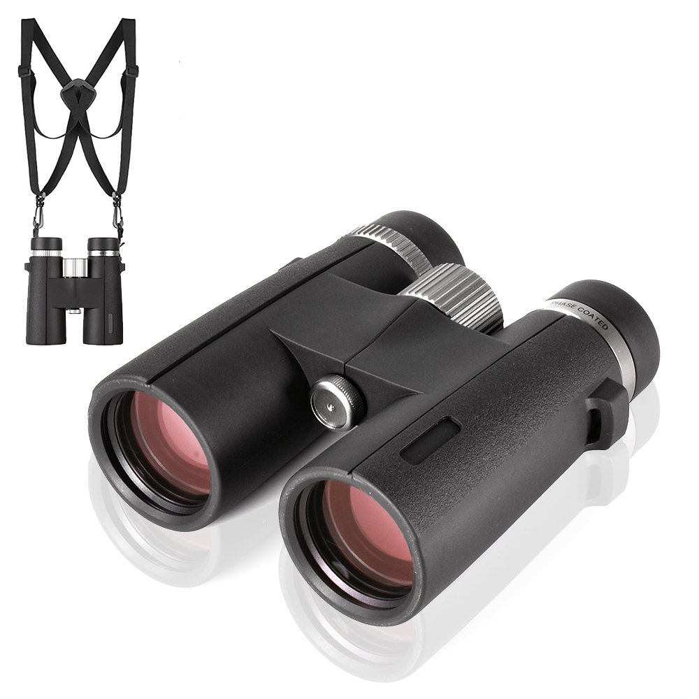 YBRED09 binoculars