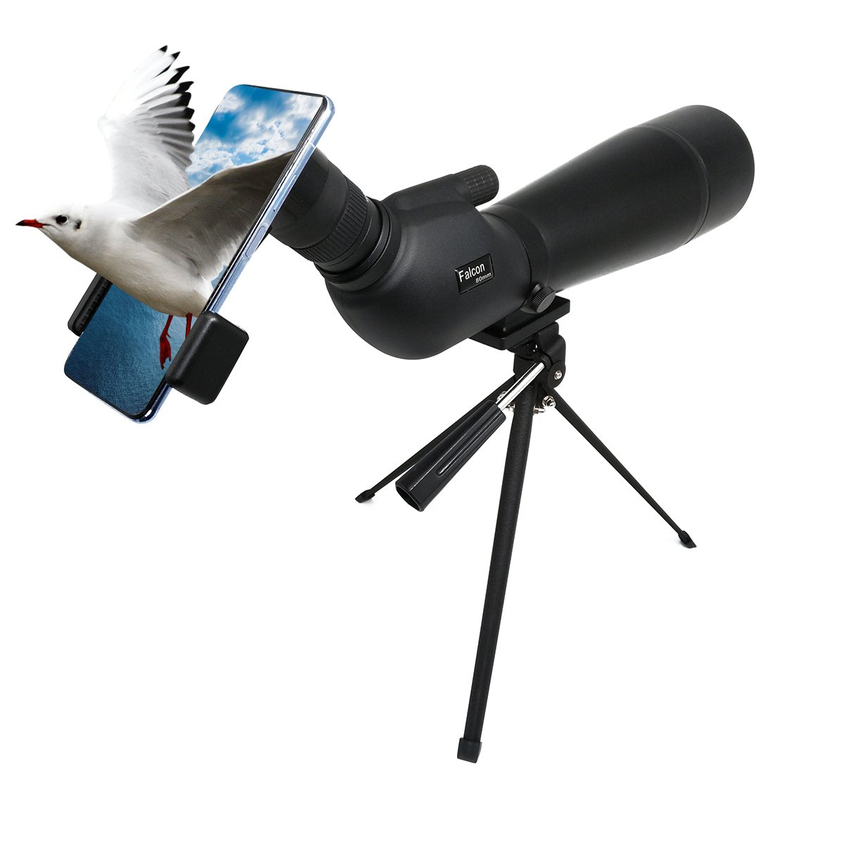 TF268K1 20-60X80 sopttingscope