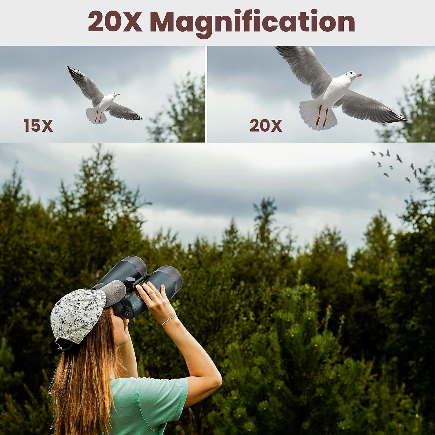 YBP25 20X80 binoculars