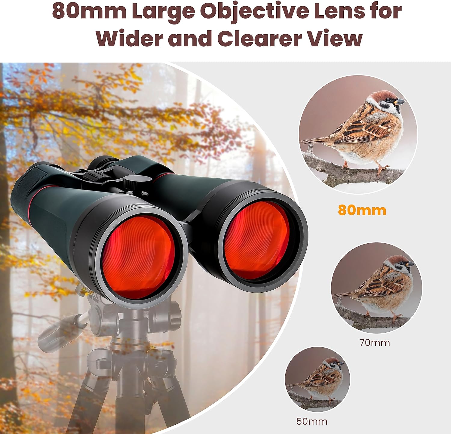 YBP25 20X80 binoculars