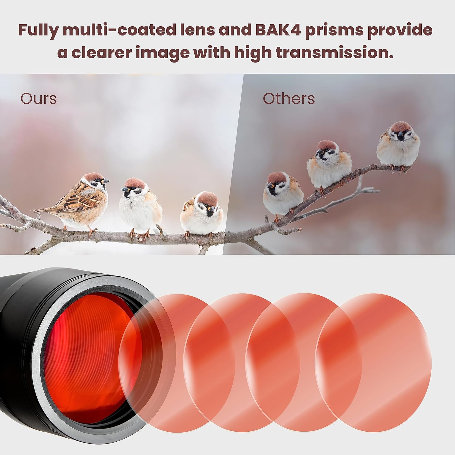 YBP25 20X80 binoculars