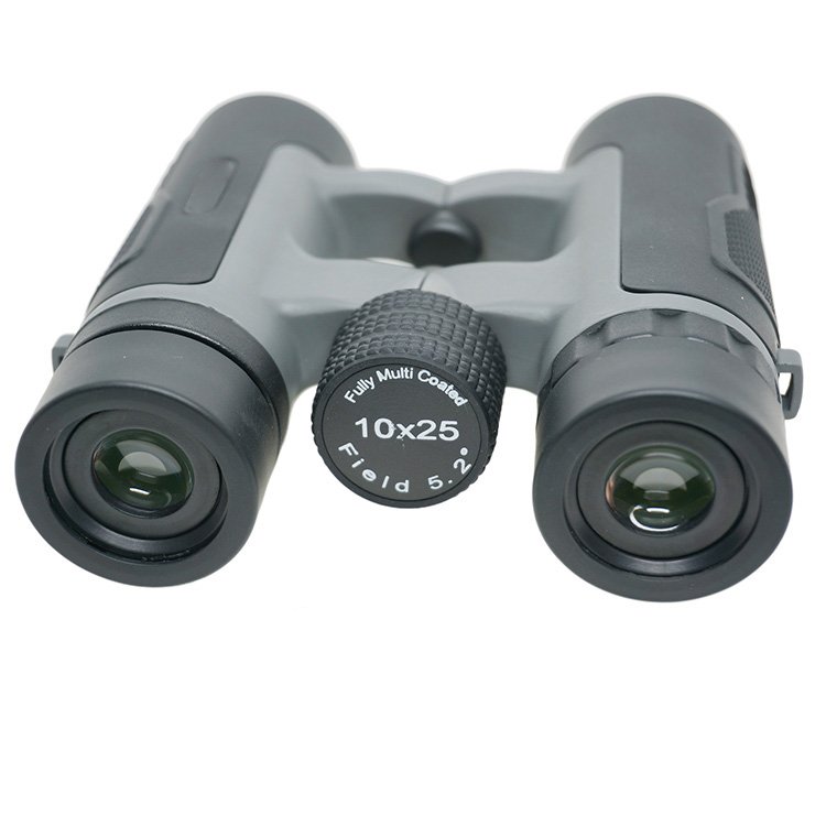 WBSR16 binoculars