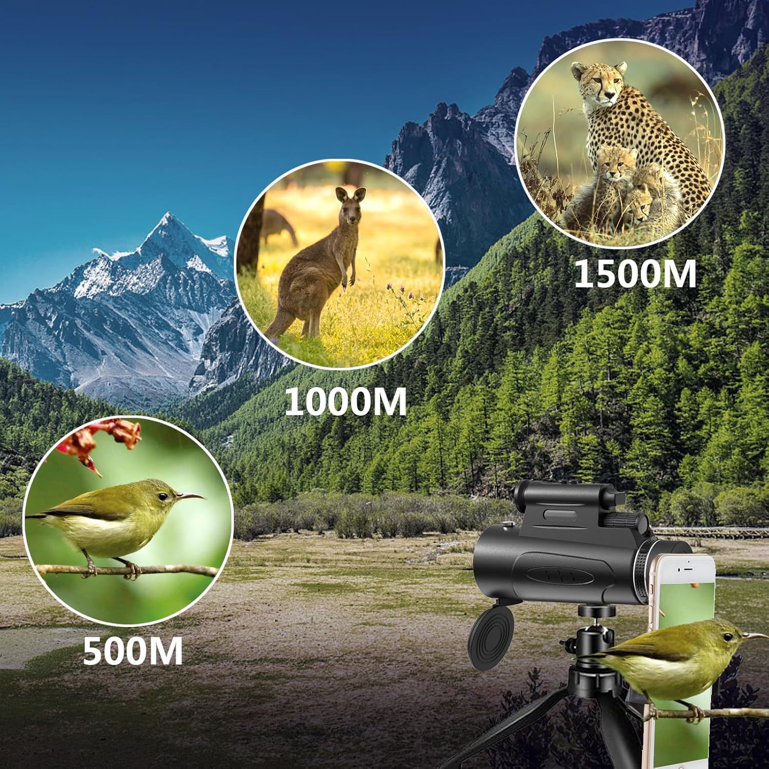 YMT44 Monocular