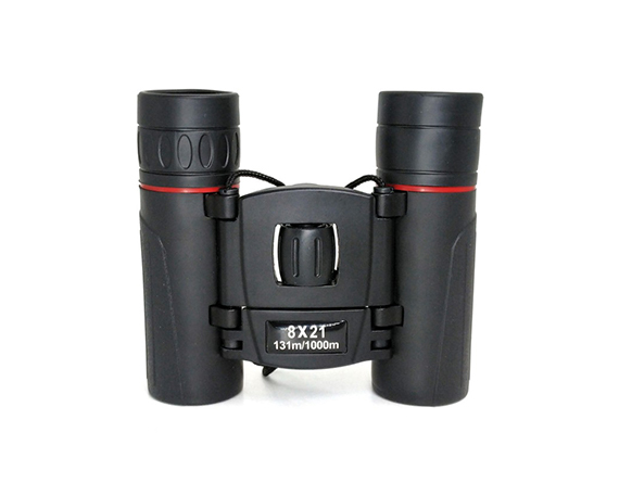 WBSR10 b Binoculars