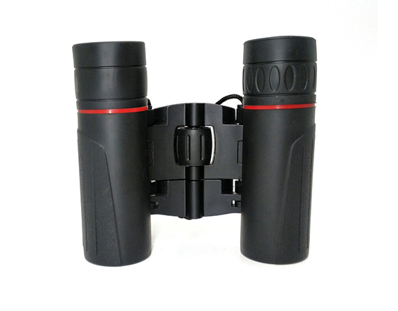 WBSR10 b Binoculars