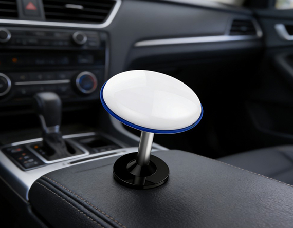 TUBG06 Vehicle Positioning Tag