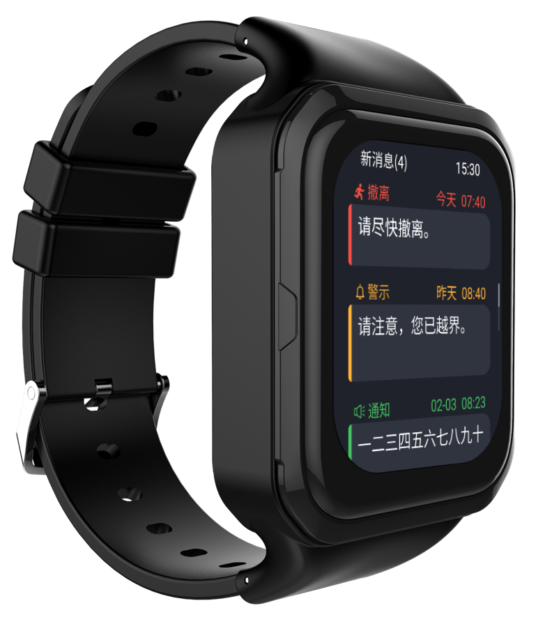 Intrinsically Safe Smart Watch