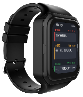 Mining Intrinsically Safe Watch